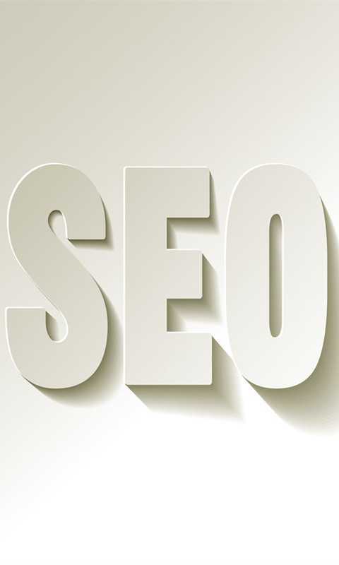 SEO入门指南截图1