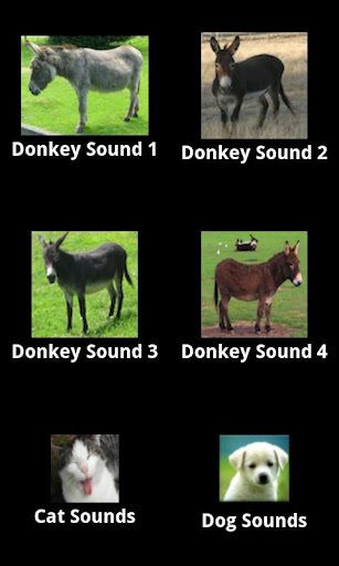 驴的声音恶作剧截图1