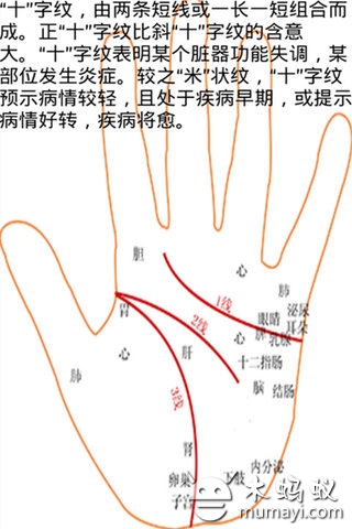 掌纹看性截图1