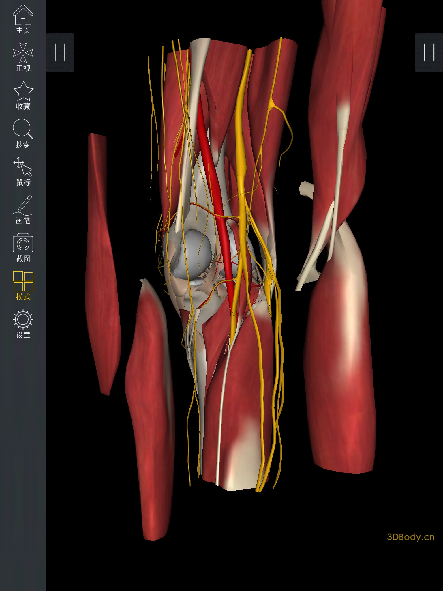 3DBody骨科截图4