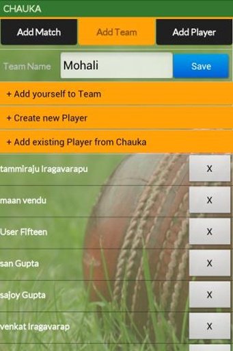 Chauka Cricket Scorer截图8