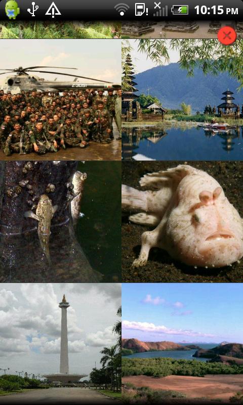 Country Facts Indonesia截图1