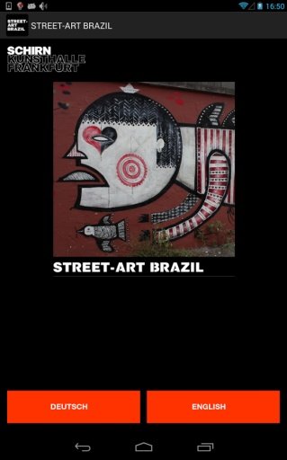 STREET-ART BRAZIL截图5