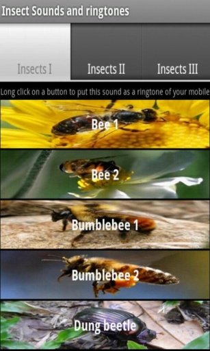 Insect sounds and ringtones截图5