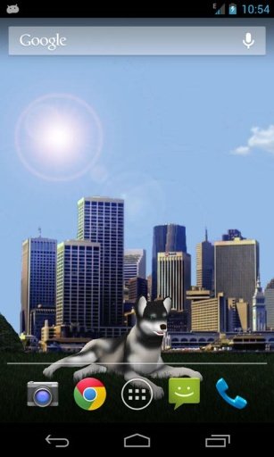 Dog Husky Traveling 3D LWP截图2