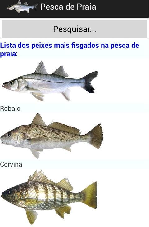 Pesca de Praia截图2