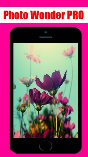 PhotoWonder Pro截图3