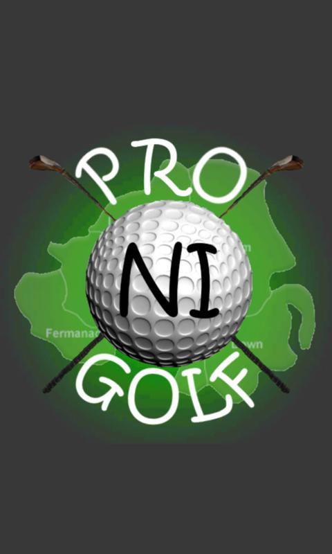 Pro Golf NI截图1