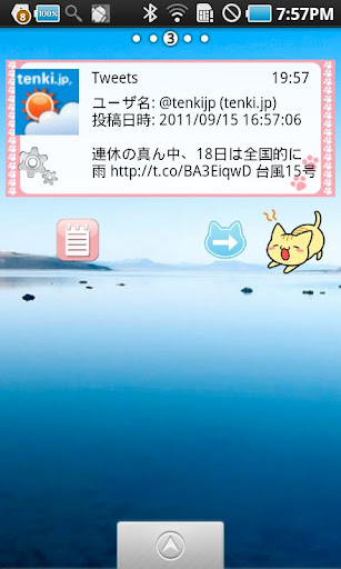 BLOCCOWidget image(Pretty Cat)截图1