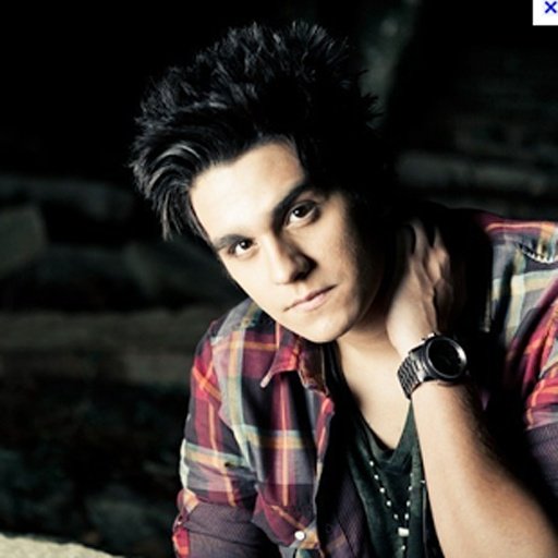 Luan Santana Fans截图6