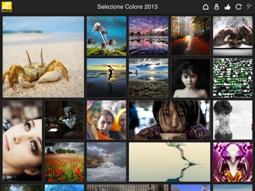 Nikon Forum Photo Contest截图4