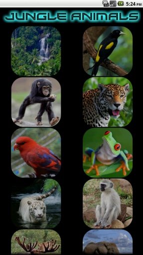 Kids - Jungle Animal Sounds截图6