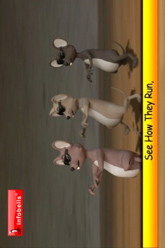 3D NURSERY RHYMES APP_01截图5