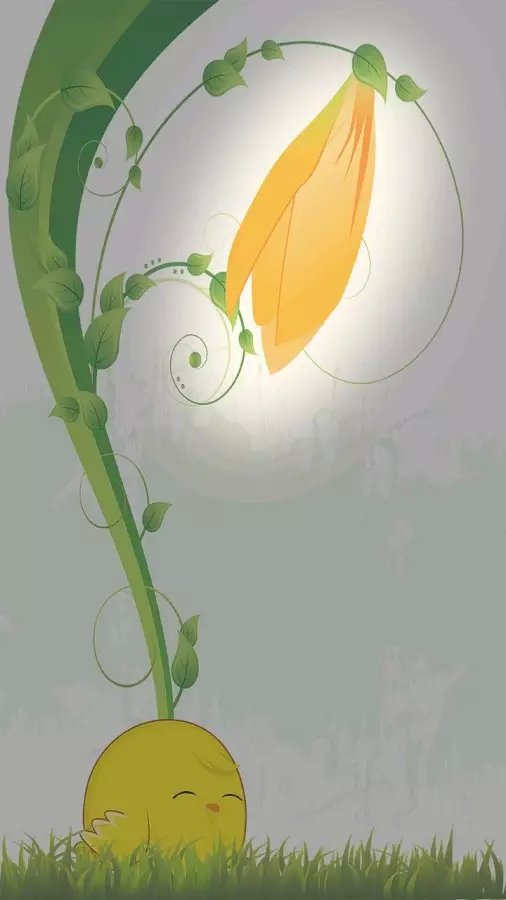 小鸡工具箱截图4