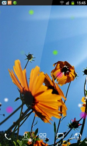 Blue Sky n Flowers LWP截图5