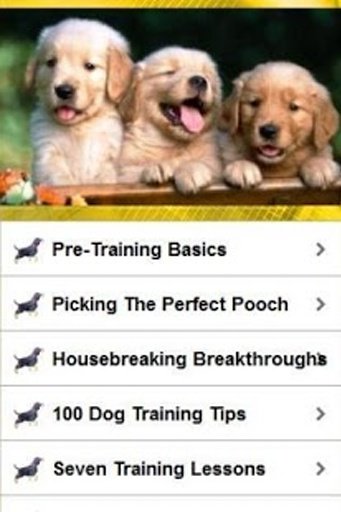 Dog Training Techniques截图2