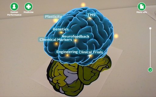 Wright State Brain Scan截图8