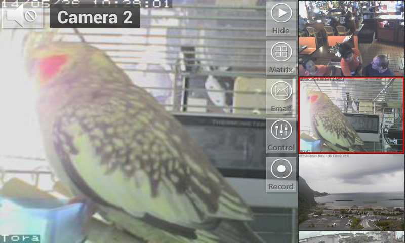 Viewer for AVTech IP cameras截图1