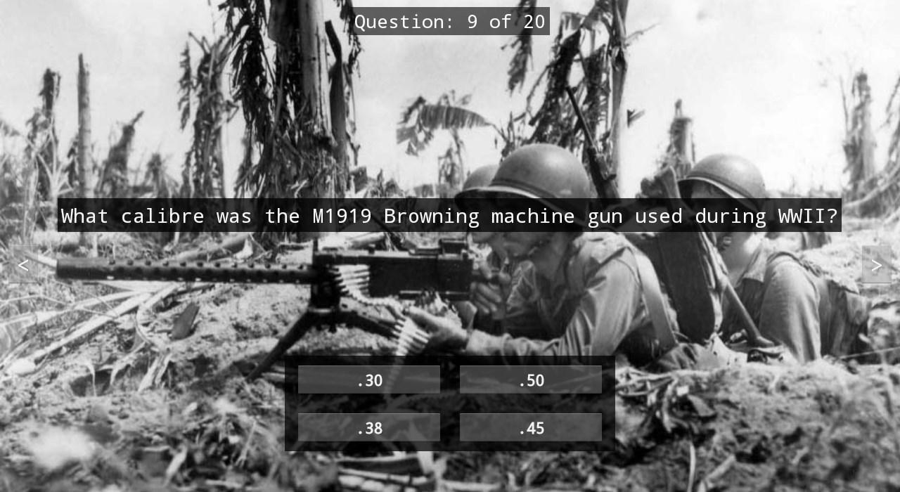 WWII Quiz截图5