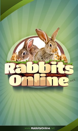 Rabbit Forum截图4