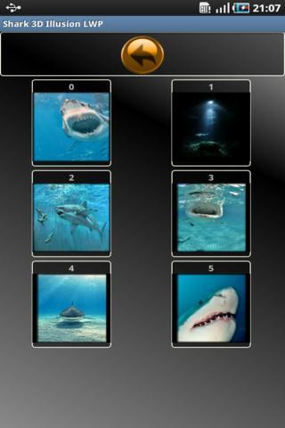 Shark 3D Illusion LWP截图4