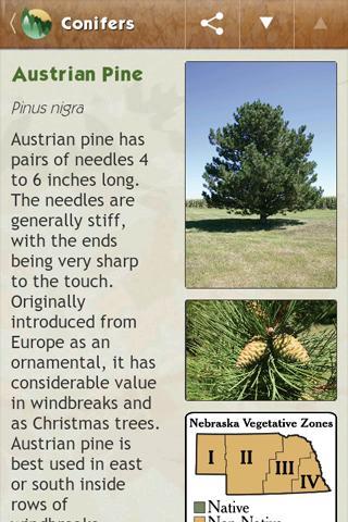 Nebraska Conservation Trees截图2