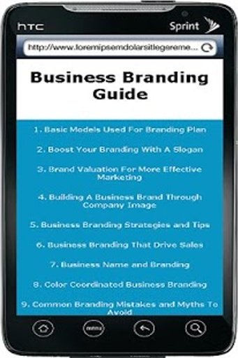 Business Branding Guide截图2