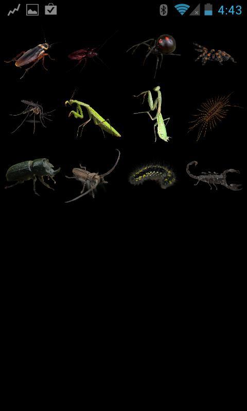 Bug Booth Free截图3