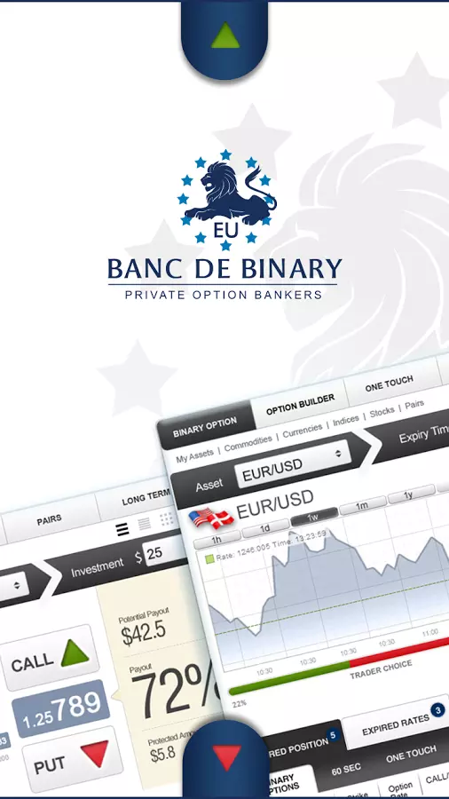 Binary Options Trading EU截图1