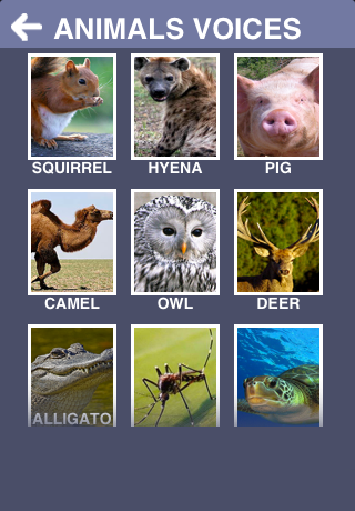 Animals friends - guess songs截图2