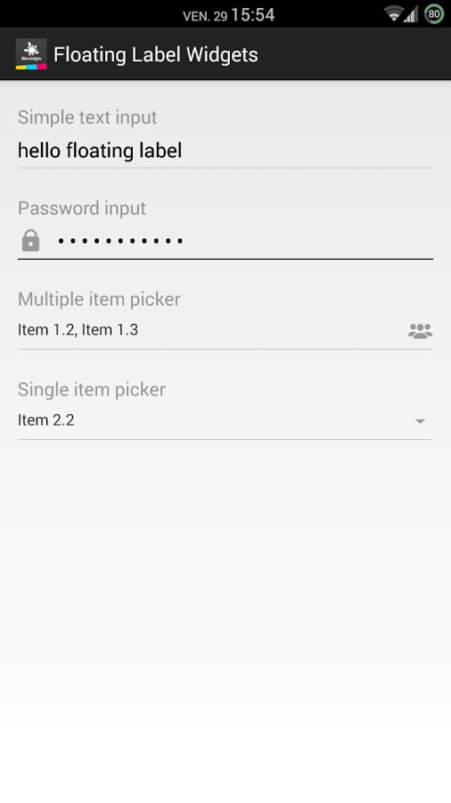 Demo - Floating Label Wi...截图1