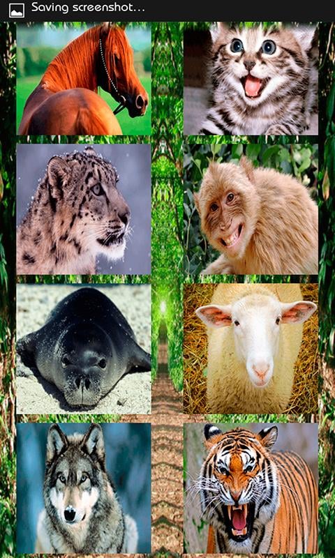 Animals SoundEffect截图2