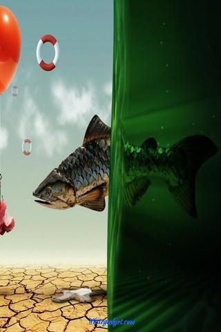 Fish Wallpapers HD截图2