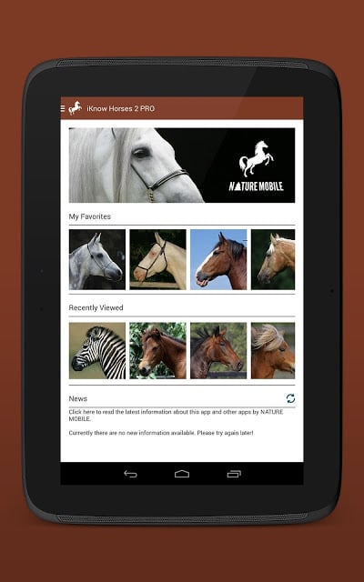 Horses FREE截图8