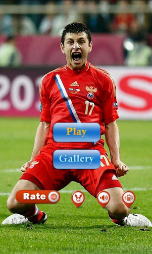 euro2012拼图截图3