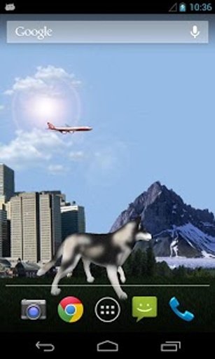 Dog Husky Traveling 3D LWP截图6