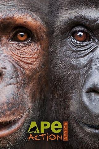 Ape Action Africa截图4