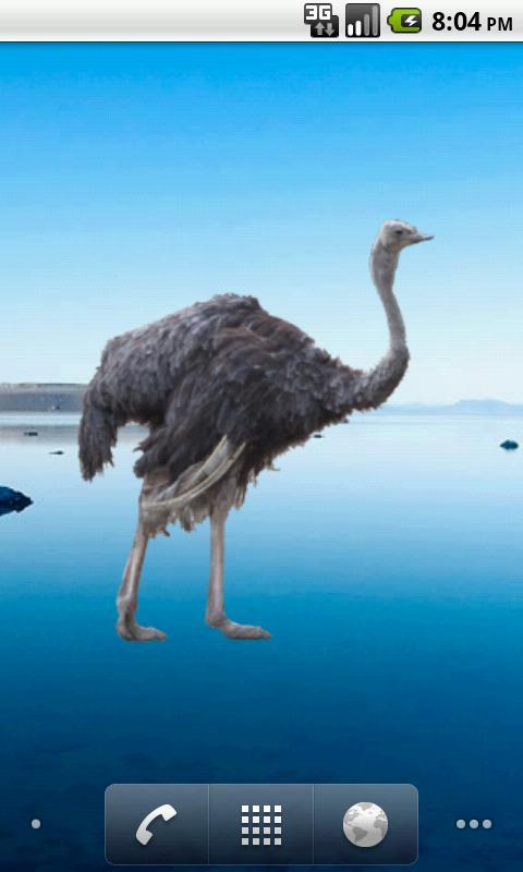 Ostrich Sticker截图3