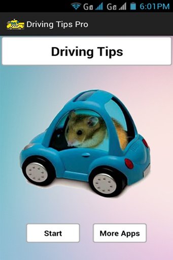 Driving Tips截图2