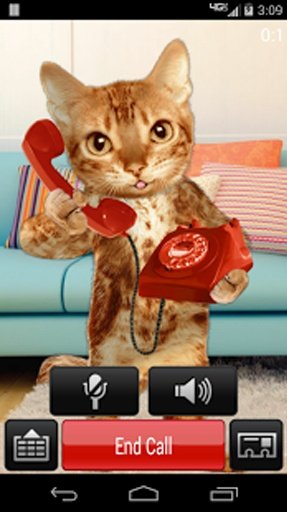 Cat Caller截图8