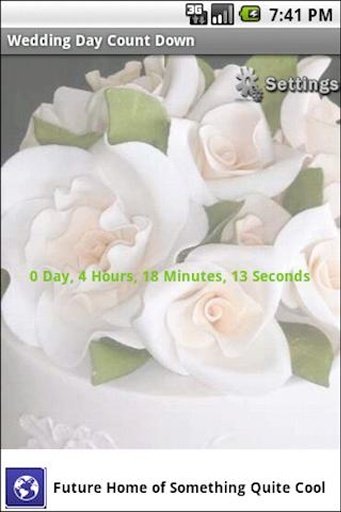 Free Wedding Countdown截图3