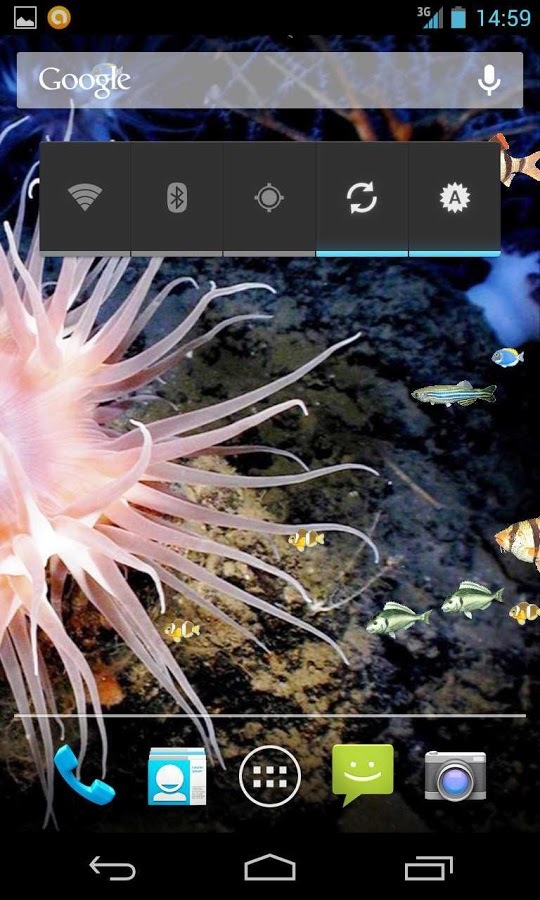 Real Fish Aquarium LiveW FREE截图6