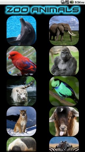 Kids - Zoo Animal Sounds截图2