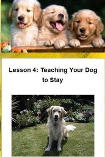 Dog Training Techniques截图10