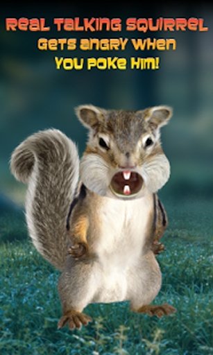 Real Talking Squirrel截图1