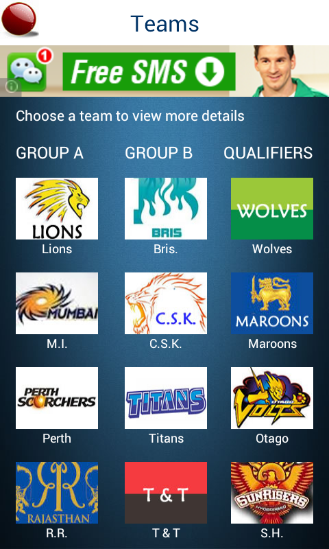 Champion League C.L. T20 2013截图3