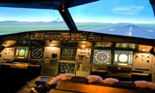 Flight Simulator : Top截图2