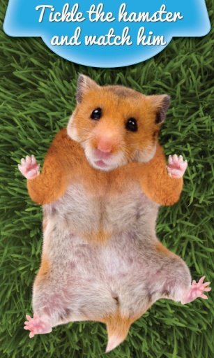 Tickle Hamster截图4