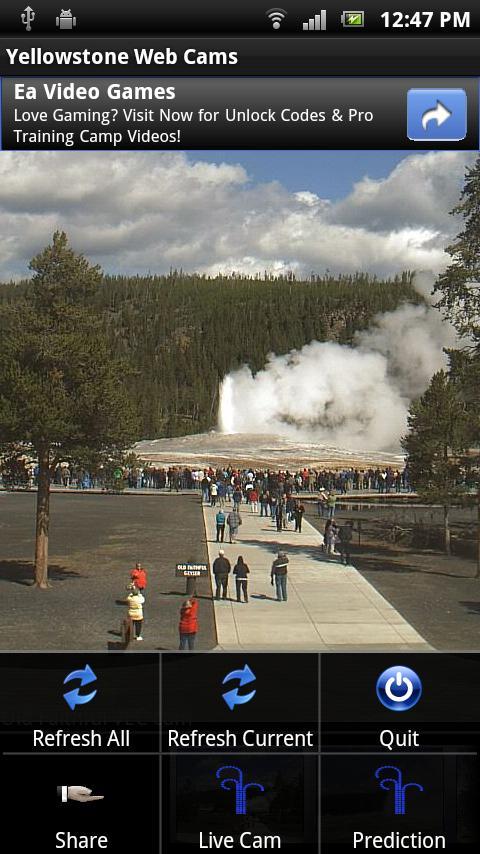 Yellowstone Web Cams截图5