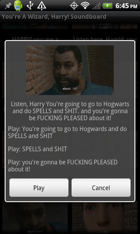 &quot;You're A Wizard, Harry!...截图2